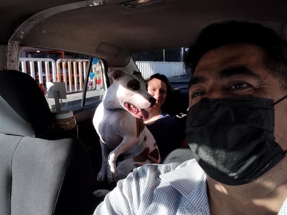 Señor ofrece viajes pet friendly en CDMX y Área Metropolitana