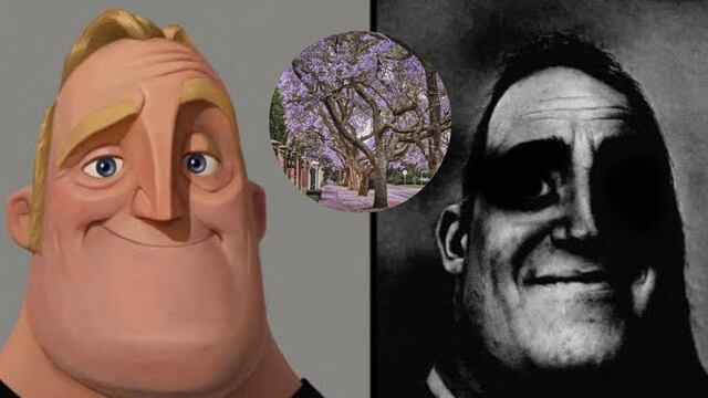 Memes de jacarandas floreciendo en enero