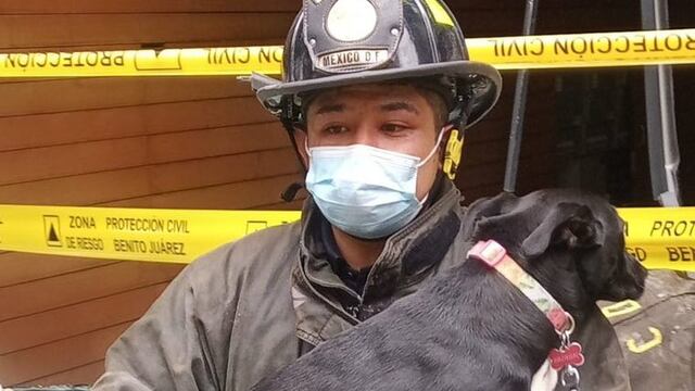 Perrito rescatado en explosión en avenida Coyoacán