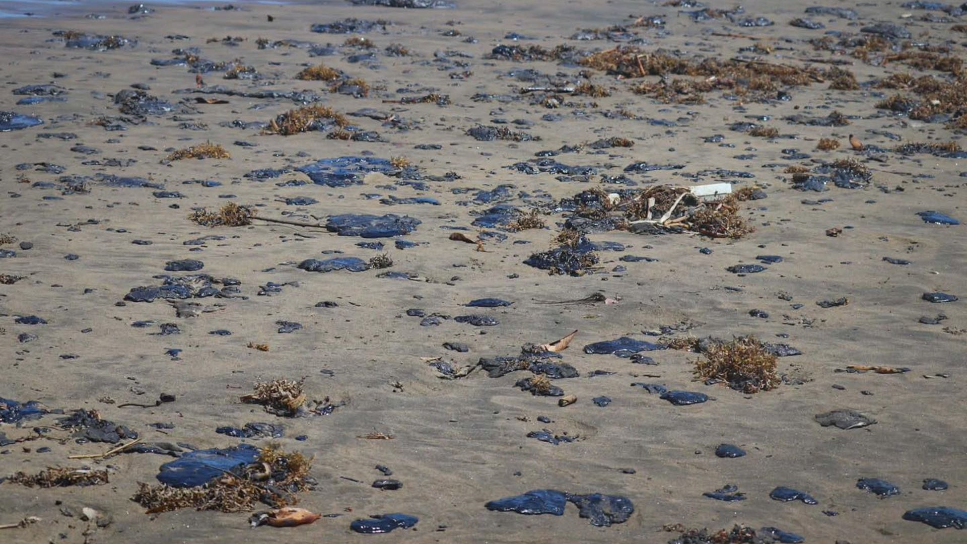 Greenpeace México denuncia a Pemex por derrame en el Golfo; pide investigar presunto ocultamiento