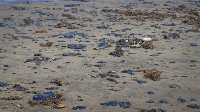 Derrame de hidrocaburos en las costas de Veracruz
