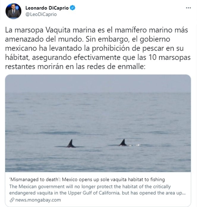 Publicación de Leonardo DiCaprio en Twitter