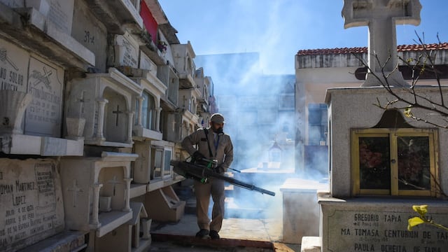 Las lecciones de México contra la proliferación del virus de chikungunya en China