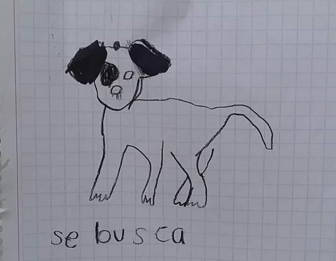 Dibujo para buscar al perrito