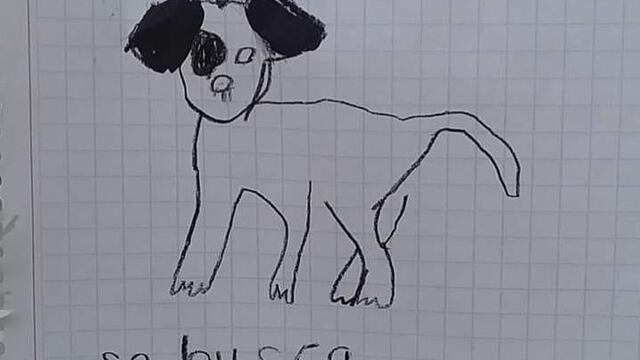 Dibujo para buscar al perrito
