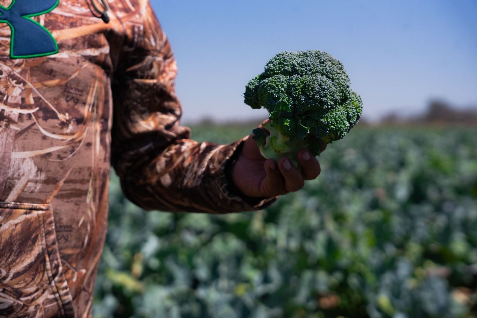 Guanajuato registró exportaciones por 37 mil 988 millones de dólares