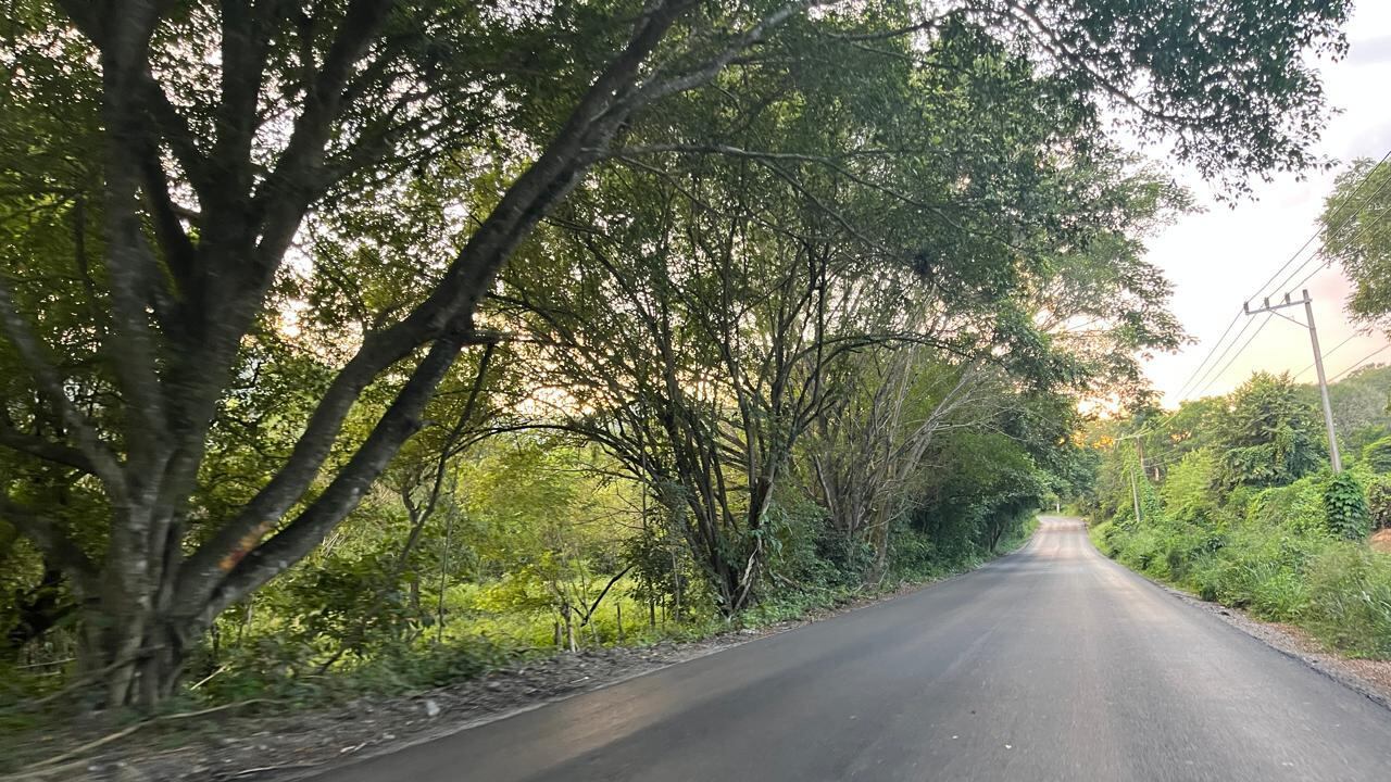 Ricardo Gallardo impulsa movilidad sin límites en la Huasteca Potosina con el Eje Xolol-Tamuín