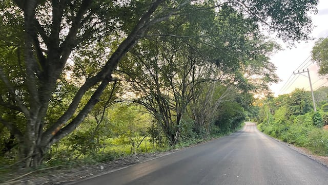 Trabajos de modernización del Eje Xolol–Tamuín en la Huasteca Potosina beneficiarán a miles de familias