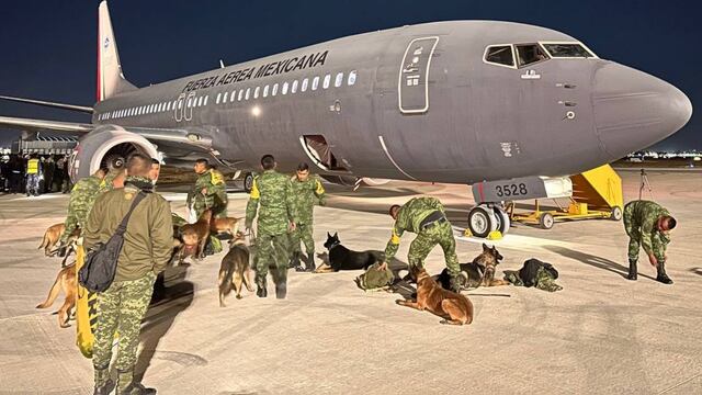 Estos son los 10 perritos rescatistas que la Sedena envió para ayudar tras el terremoto de Turquía