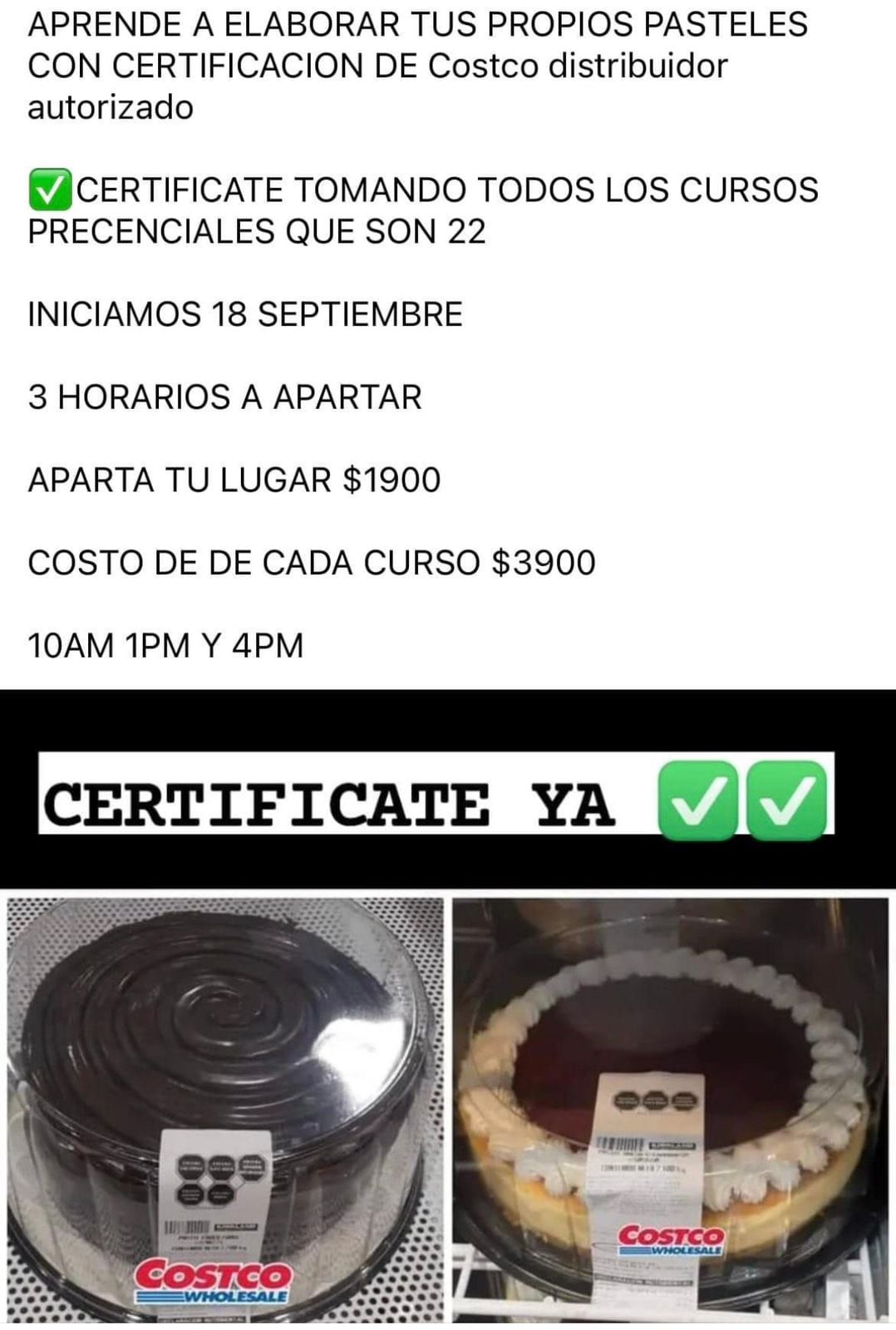 Curso para aprender a hacer pasteles de Costco