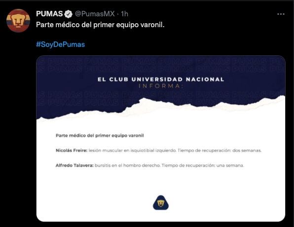 Pumas informó que Alfredo Talavera y Nicolás Freire estarán de baja por lesión.