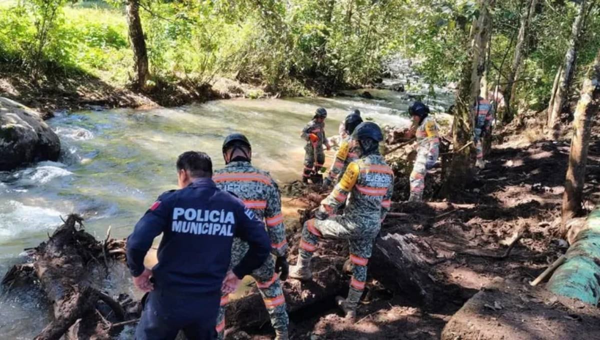 Búsqueda de Liam Tadeo en Puebla