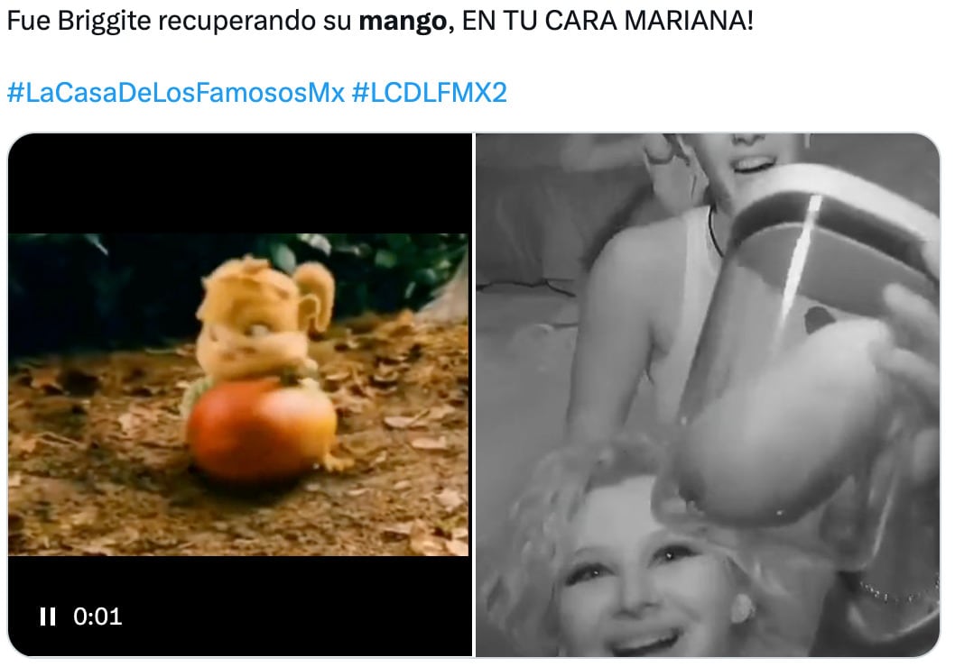 Memes del mango de Briggitte Bozzo en La Casa de los Famosos México 2024