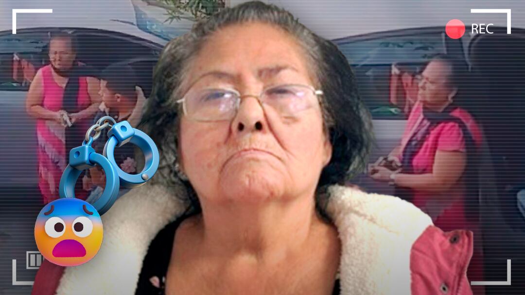 ¿Quién es Carlota Alfaro?