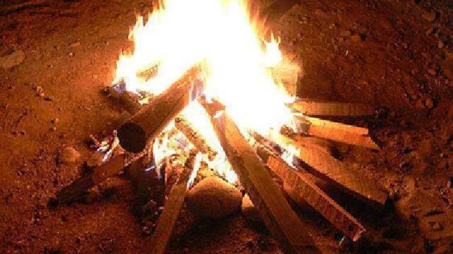 Fingiré ser un pájaro y me iré volando, me iré volando.