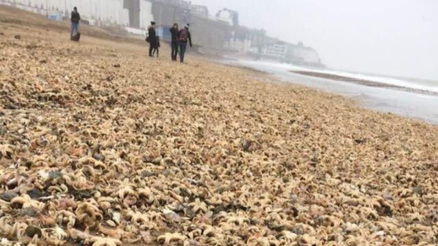 Playa de Kent, al sur de Inglaterra.