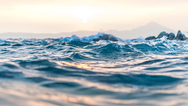 Aumentan zonas de mar muerto