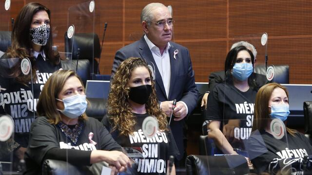 El PAN en el Senado apoya a Lilly Téllez ante AMLO.