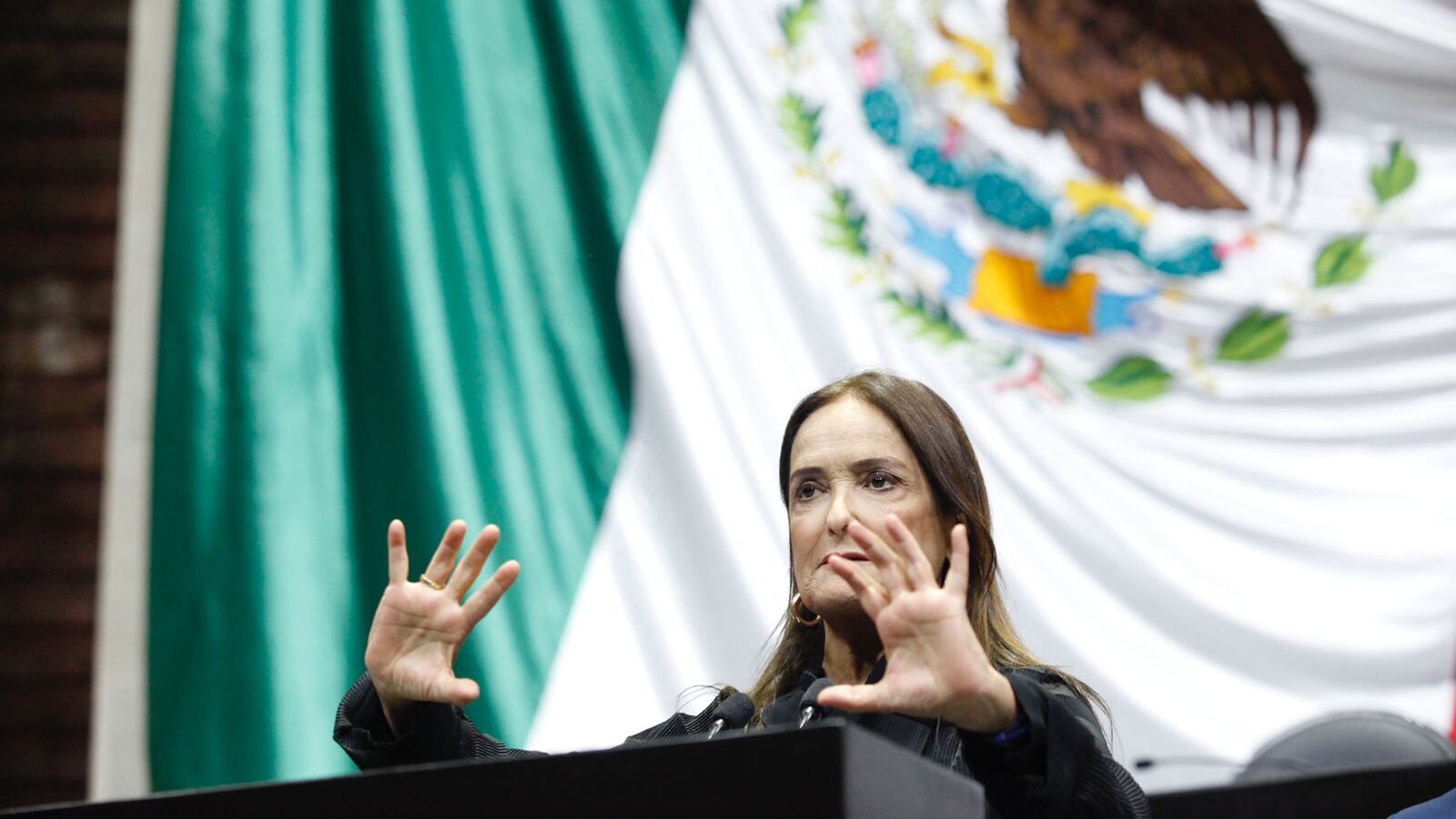 Patricia Armendáriz se reintegra a la Comisión de Hacienda