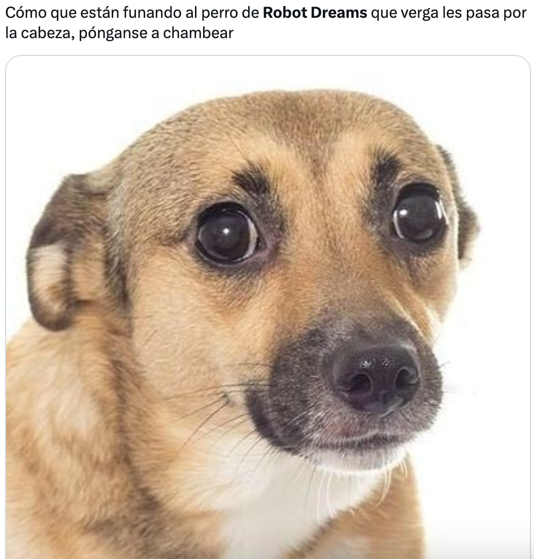 Perro Robot Dreams funado