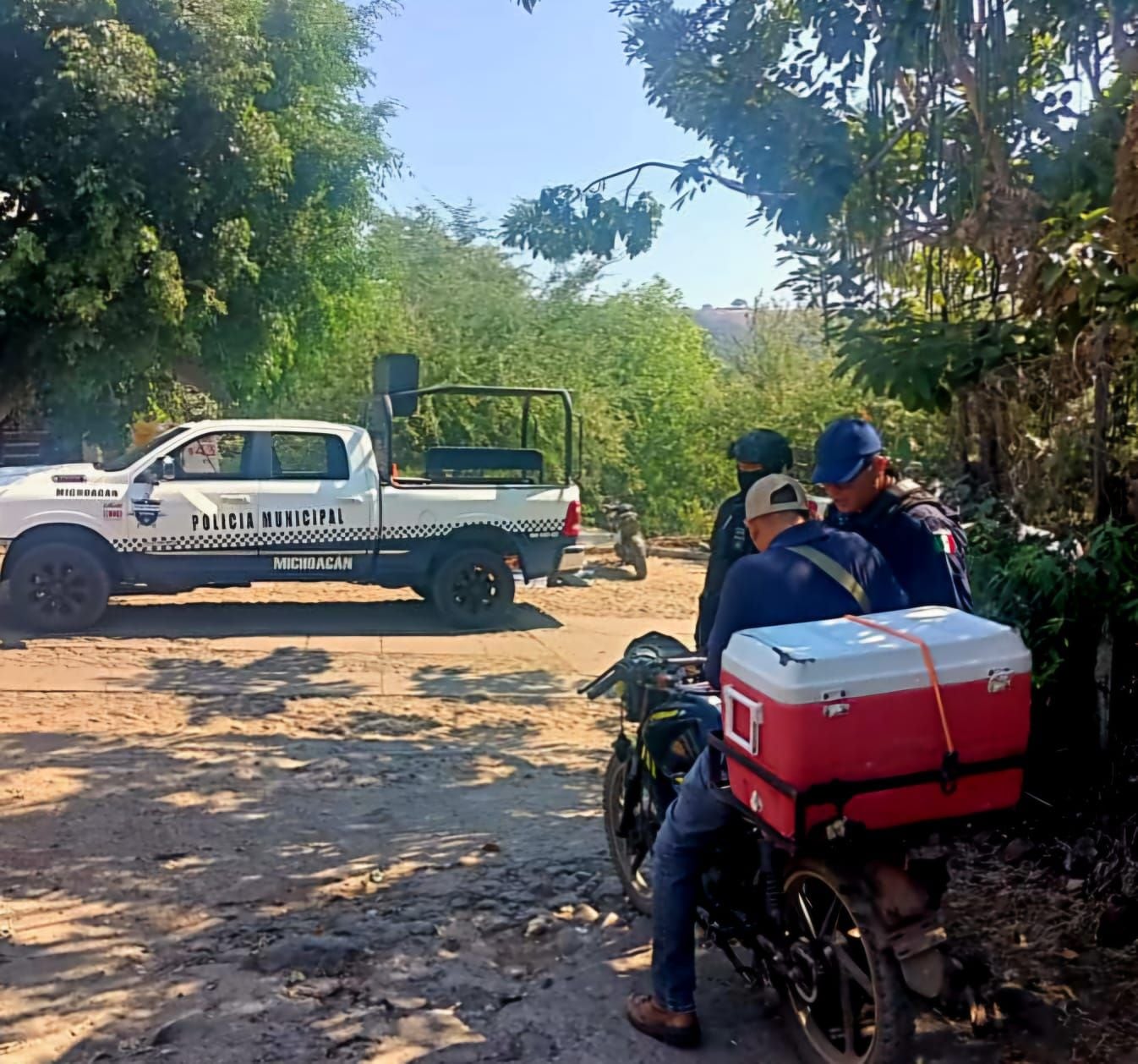 Minas instaladas por el crimen organizado en Michoacán