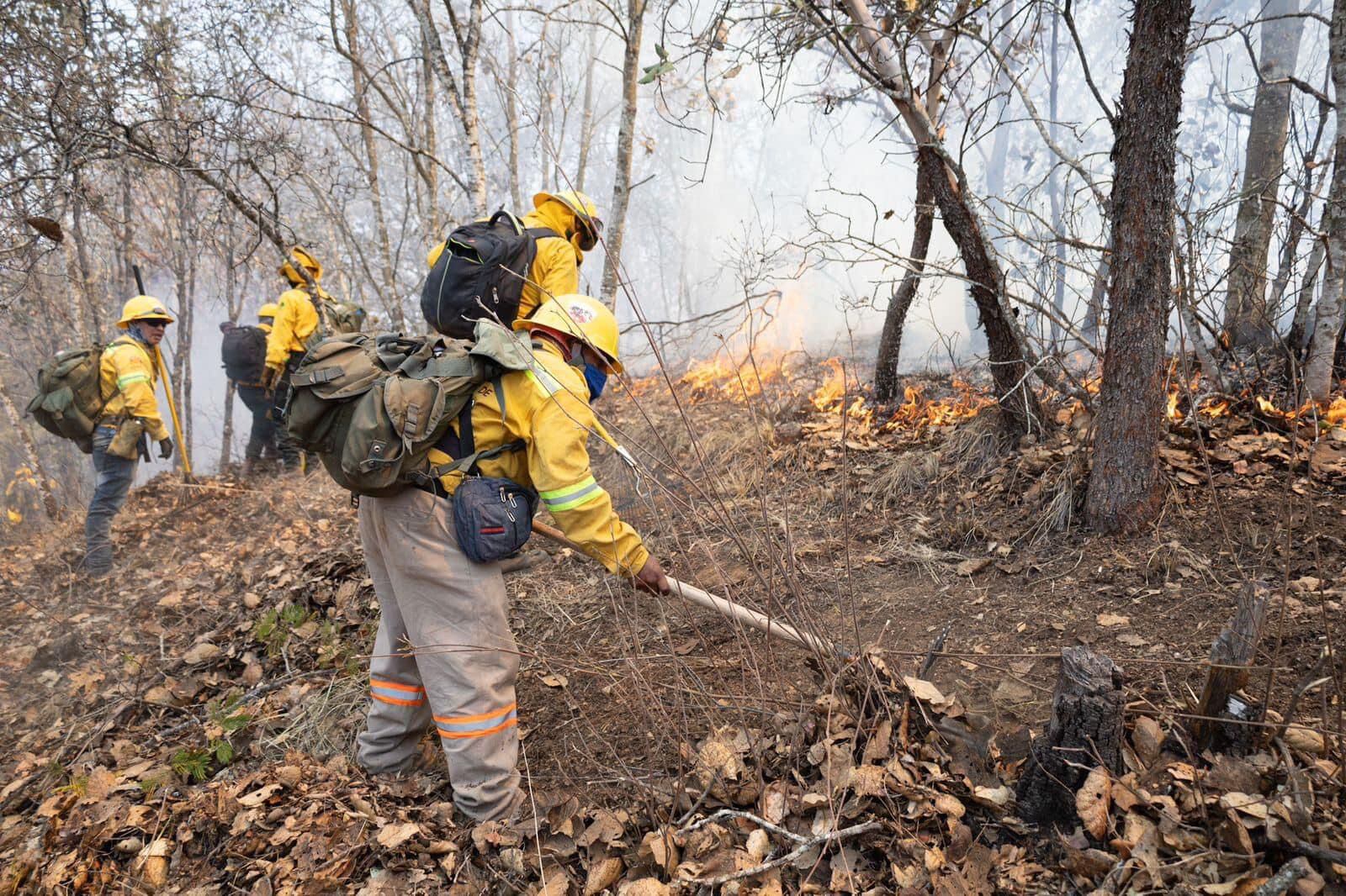 Tragedia en Oaxaca: Incendio forestal se ha salido de control