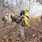 Tragedia en Oaxaca: Comuneros murieron cuando ayudaban a sofocar incendio forestal