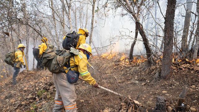 Tragedia en Oaxaca: Incendio forestal se ha salido de control