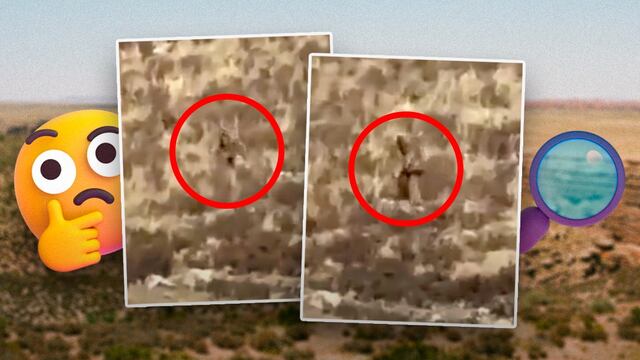 Pie Grande en Colorado