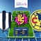 Rayadas vs América: Pronóstico y posibles alineaciones del partido de la Liga Femenil BBVA