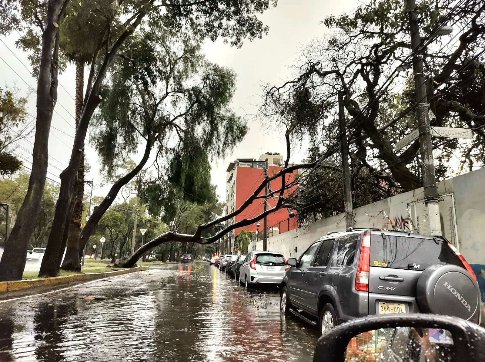 Coyoacán atiende emergencia por lluvias