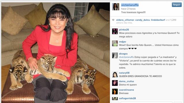 Presume Victoria Ruffo a "tres traviesos tigres"