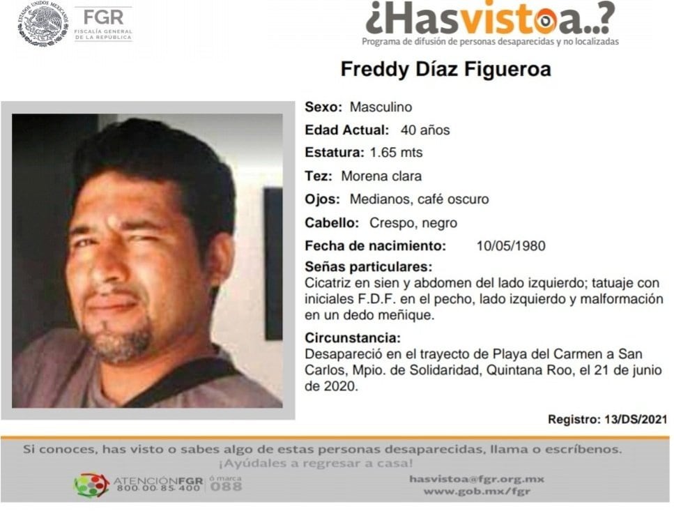 Ficha de búsqueda de Freddy