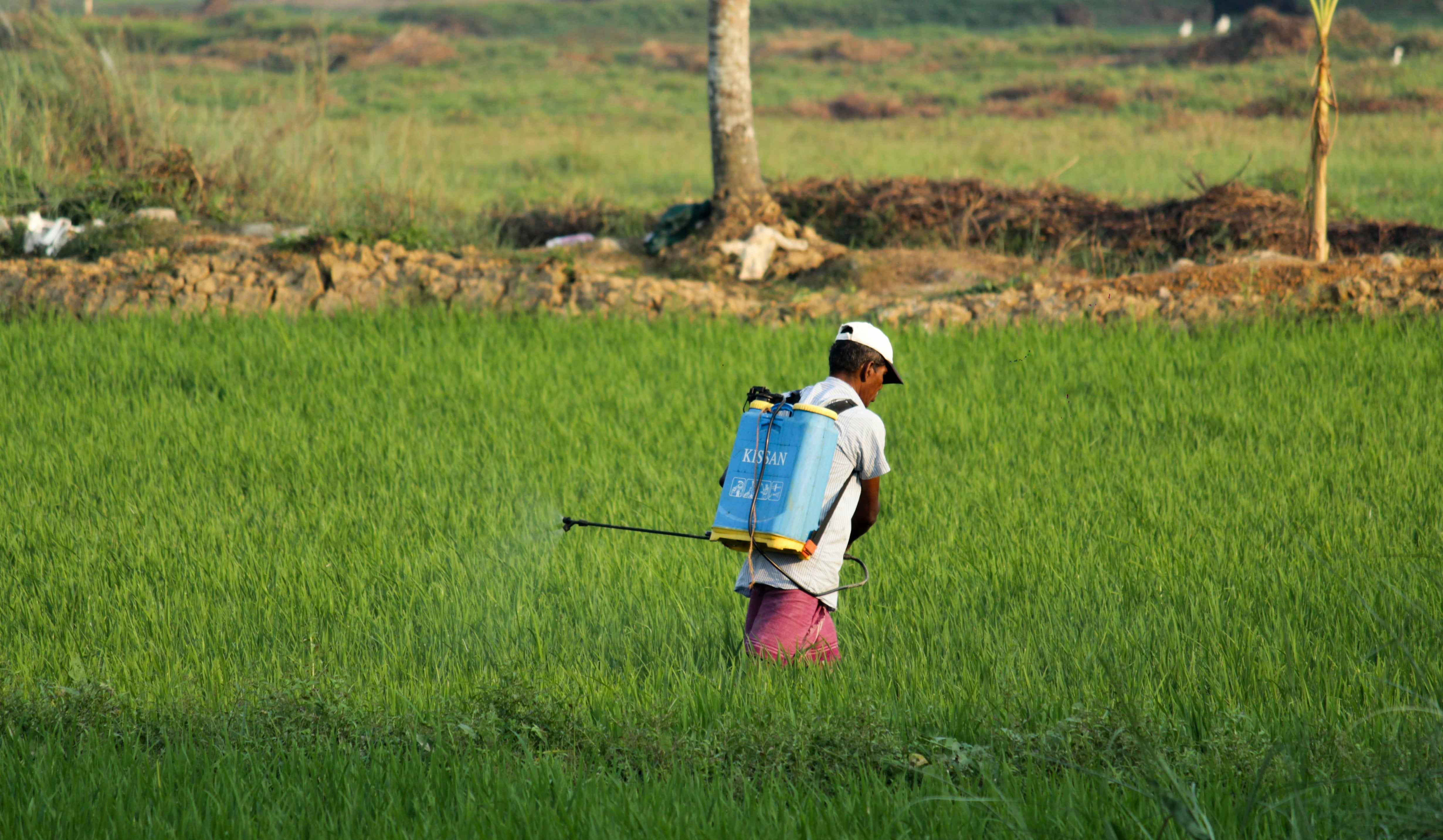 Este 26 de noviembre es el Día Mundial contra el uso indiscriminado de Agroquímicos
