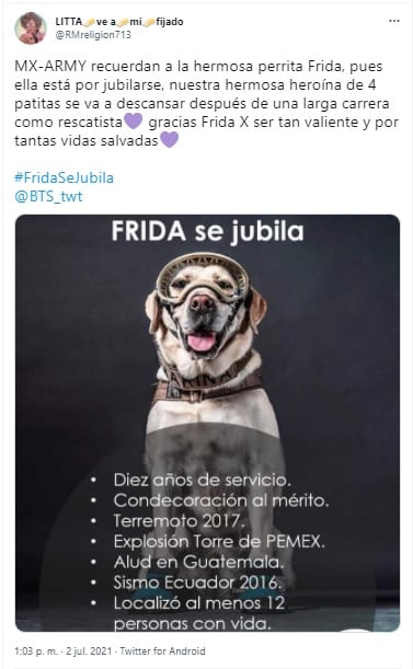 Aseguran que la perrita rescatista Frida se jubiló este 2021