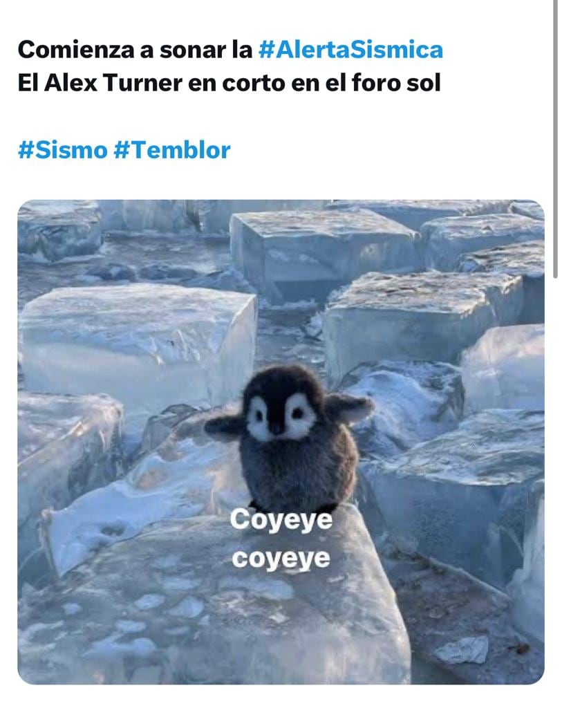 Los temblorosos memes durante el concierto de Arctic Monkeys