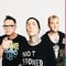 Ticketmaster es la primera víctima de los boletos de Blink-182 y sus memes