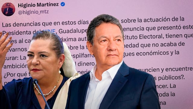 Higinio Martínez publica un mensaje tras la salida de Guadalupe Taddei del INE