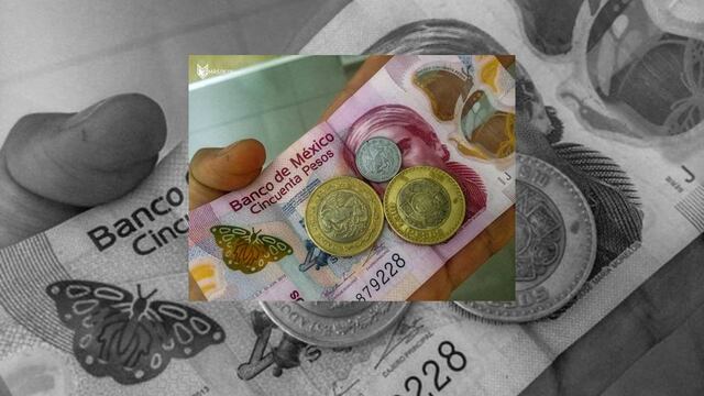 Un trabajador regular en Argentina cuenta con un salario mínimo de mil 184. 2 dólares mensuales, es decir 19.000 pesos mexicanos.