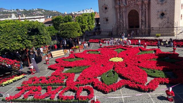 Taxco tiene la Flor de Nochebuena más grande del mundo
