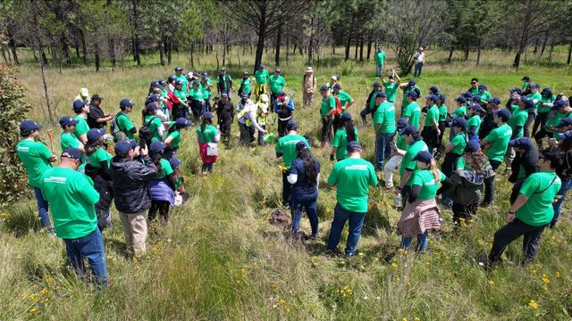 Autobuses, Camiones y Tractocamiones (ANPACT) realizó una jornada de reforestación en el parque de la Ciencia