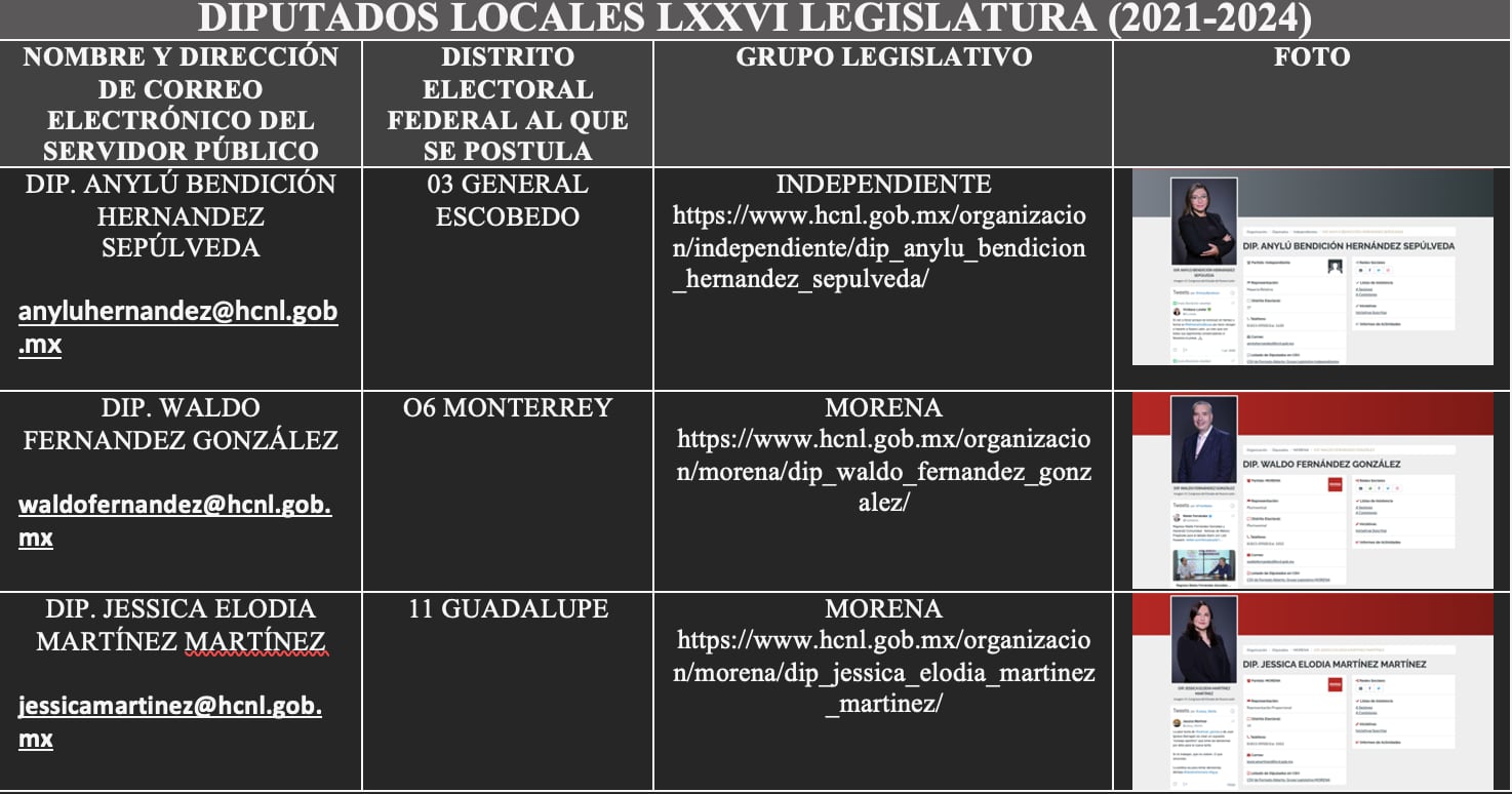 Aspirantes a congresistas por Morena en Nuevo León