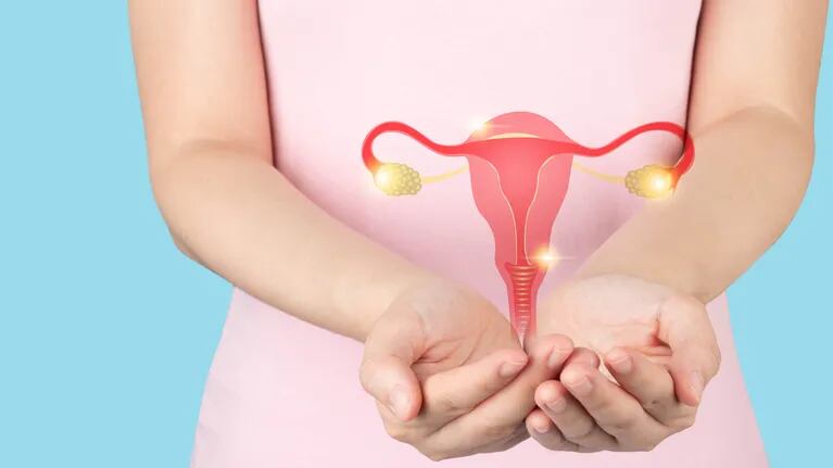¿Qué es la endometriosis? Una diputada del PAN propuso crear Registro Nacional de la enfermedad