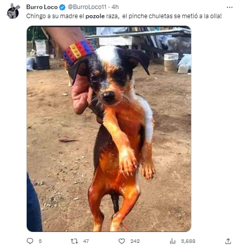 Memes por el 15 de septiembre