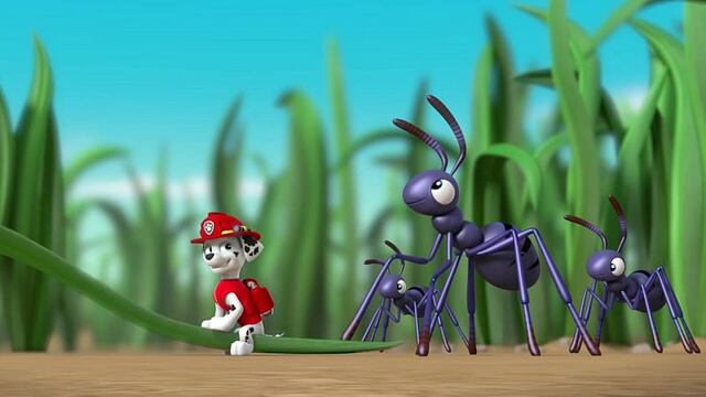 Marshall se hace chiquito: Capítulo completo en YouTube de Paw Patrol en español para celebrar Halloween 2024