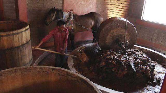 Producción de mezcal en Santiago Matatlán, Oaxaca.
