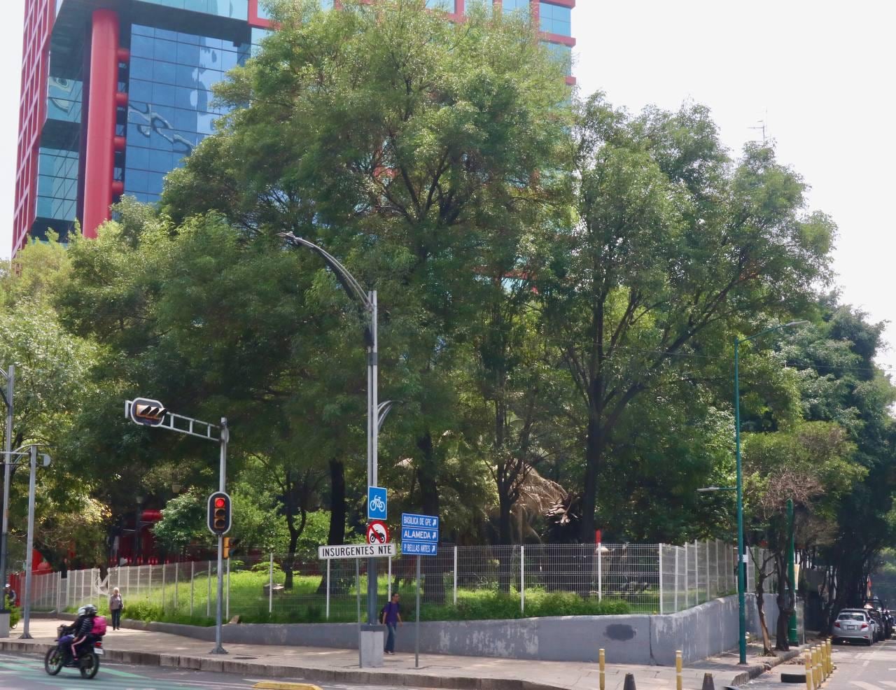 Albergue para migrantes que abrió Sandra Cuevas