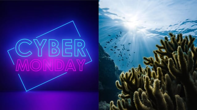 Este 27 de noviembre es el Cyber Monday en México y el Día Nacional de la Conservación