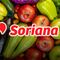 Martes y Miércoles del Campo Soriana 20 y 21 de agosto 2024: Estas son las mejores ofertas