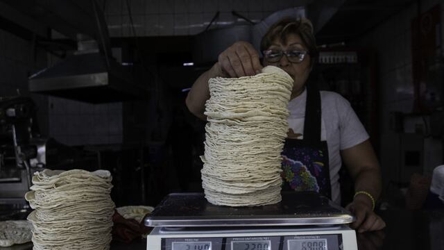 Precio del kilo de tortillas 2025: En estos estados es más barato según Profeco
